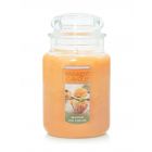 Yankee Candle Mango Ice Cream Large Jar 623g