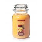 Yankee Candle Mango Peach Salsa Large Jar 623 gr