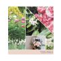 Yankee Candle Tranquil Garden Large Jar 623 gr.