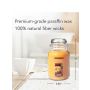 Yankee Candle Mango Peach Salsa Large Jar 623 gr.